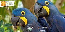 Cenacon